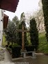 Sfânta Liturghie Duminica Sfintei Cruci (07 apr. 2024)