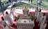 Sfânta Liturghie Sfintele Paști (21 apr. 2025)
