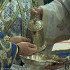 Sf Liturghie - Adormirea Maicii Domnului (15 aug. 2025)